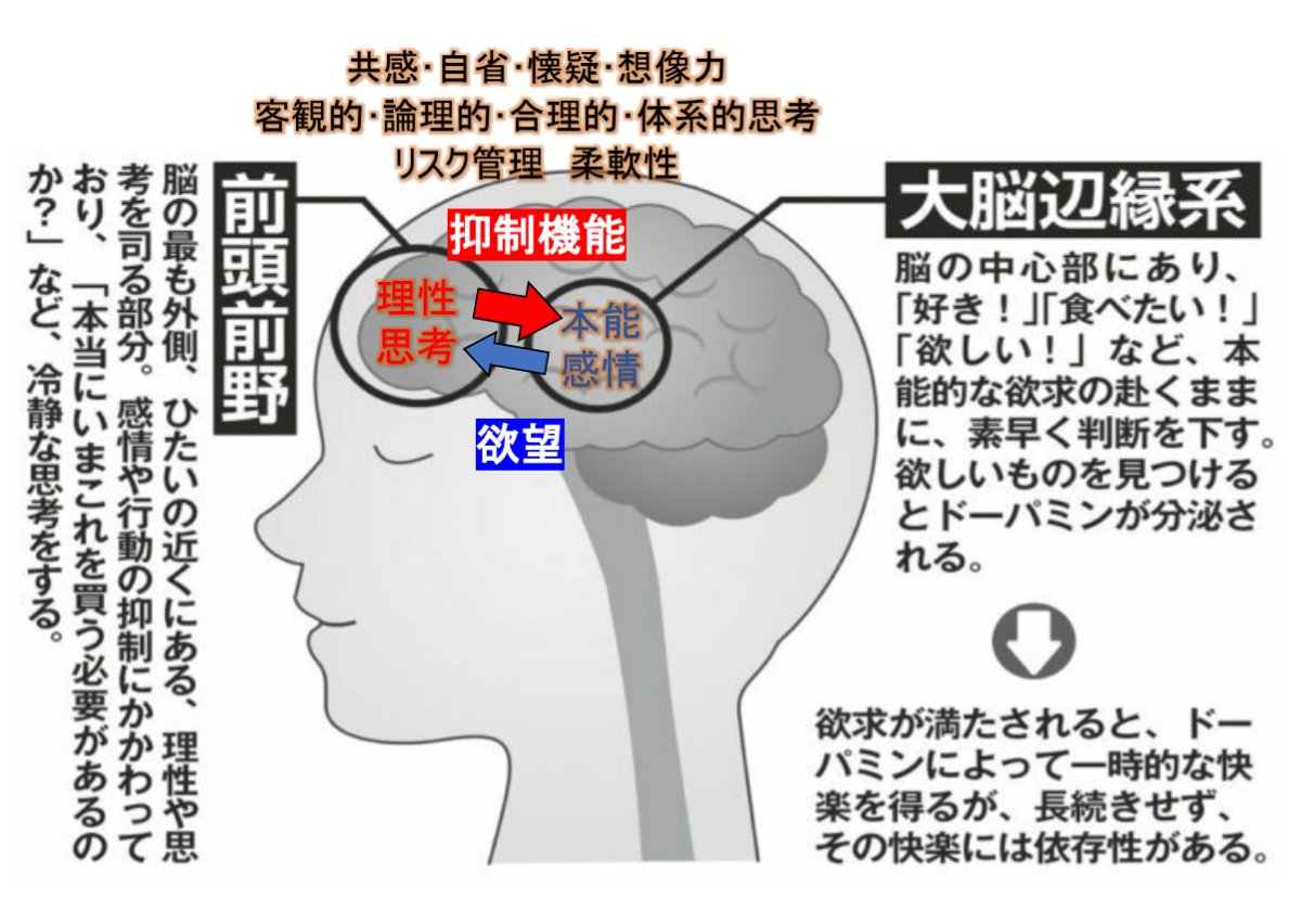 かるっち On Twitter しかし 何らかの原因で 脳の理性 抑制機能 が衰弱 損傷すると 本能 感情 欲望 行動 の暴走を制御できなくなる 例えば 忙しすぎて 過労や寝不足で 一度にやることが重なり 脳の容量を超えてパニックに陥り 普段では考えられないような変なこと