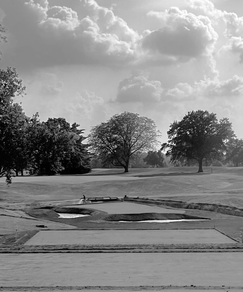 Andrew Green tweet media