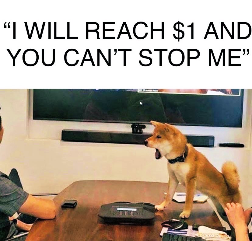 369Doge's tweet photo. $DOGE 💸💸💸 https://t.co/gbEsErjRwv
