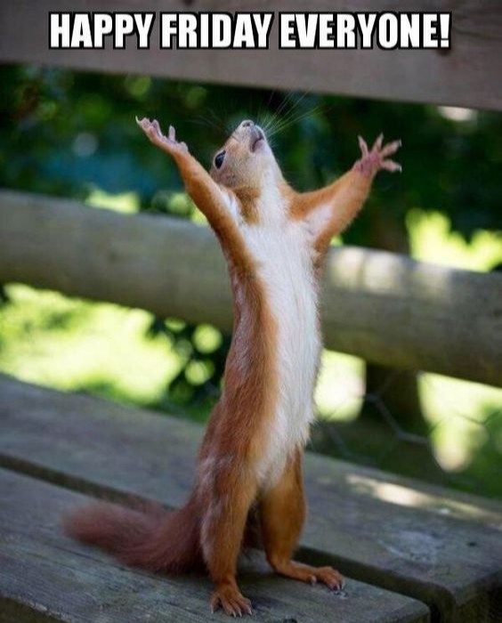 ikonsolutionsph's tweet photo. It's Friday. Have a marvelous weekend everyone! https://t.co/bwo7oieEQM