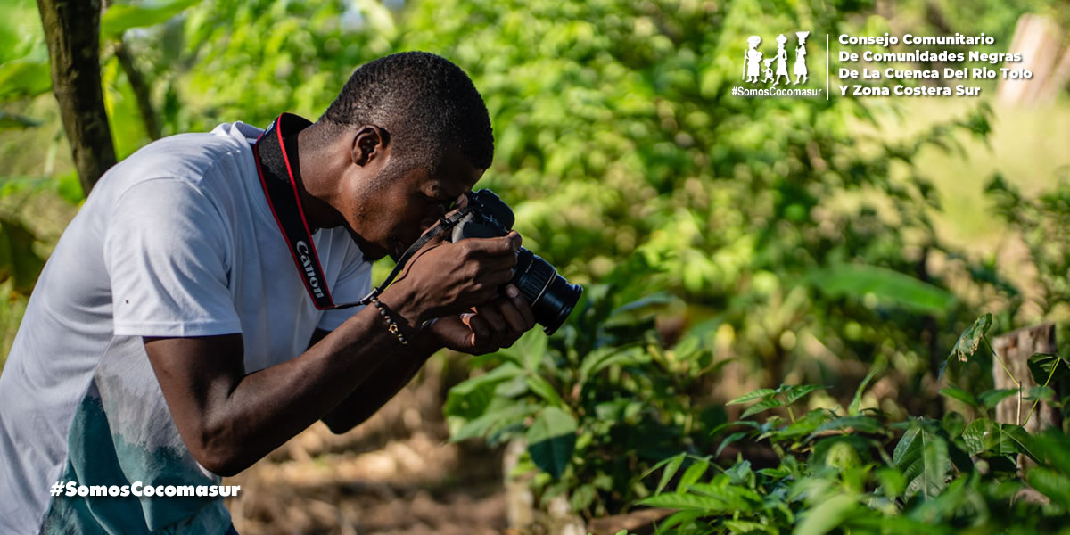 Cocomasur tweet media