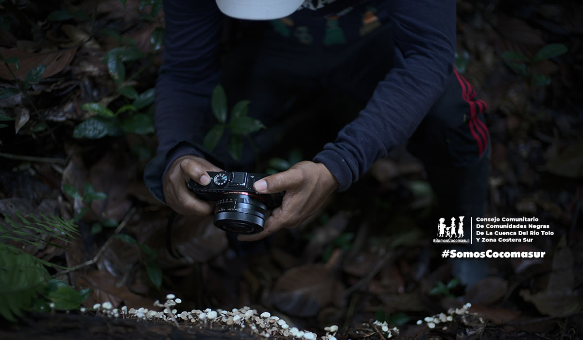 Cocomasur tweet media