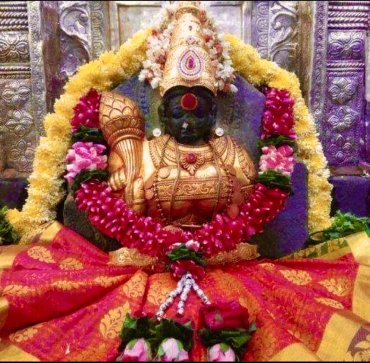 Jaya_Upadhyaya on Twitter: 