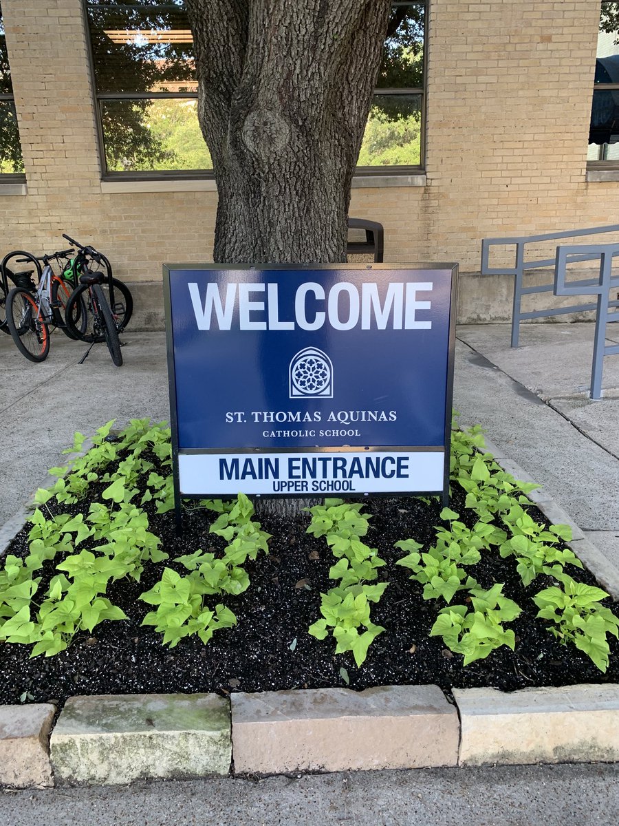 staschooldallas's tweet photo. STA welcomes our Wildcats back to campus. Thank goodness for extra bike racks - exercise and education. #stastrong #stasuccess https://t.co/656RvDAeif