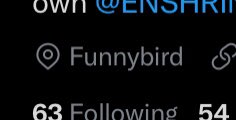 FAZENIGGABALLS's tweet photo. @Brodascrazy41 @ENSHRIN3D @twituseraztxc @jack @Twitter @TwitterSupport @Funnybird23 🤡 https://t.co/eUXBsZHiru