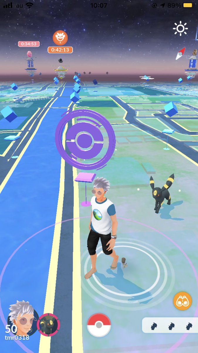 ポケモンgo不具合