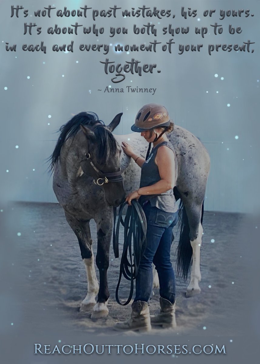 AnnaTwinney's tweet photo. The cost of owning horses: $$$$$
Staying in the present moment with your equine partner: priceless

Join the tribe and get our inspirational messages delivered straight to your inbox here: https://t.co/ihavCTp6WJ https://t.co/x5okZEGlAg