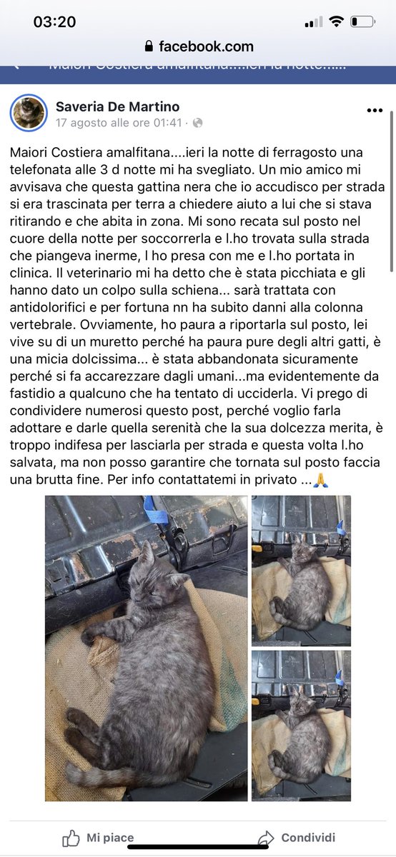 Elisabetta Poletti tweet media
