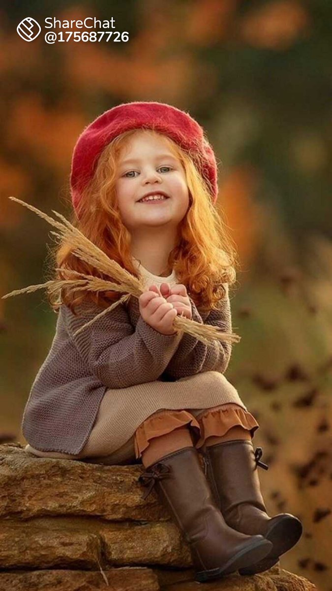 காலை வணக்கம்