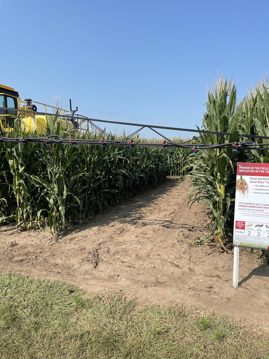 Jason_Collns's tweet photo. Smart Corn System on the left “short corn”. Conventional corn on the right. So many possibilities with this system coming from ⁦@Bayer4Crops⁩ and ⁦@ChannelSeed⁩   Crops look exceptional at our Atlantic research farm! https://t.co/V8wVFmPJCJ
