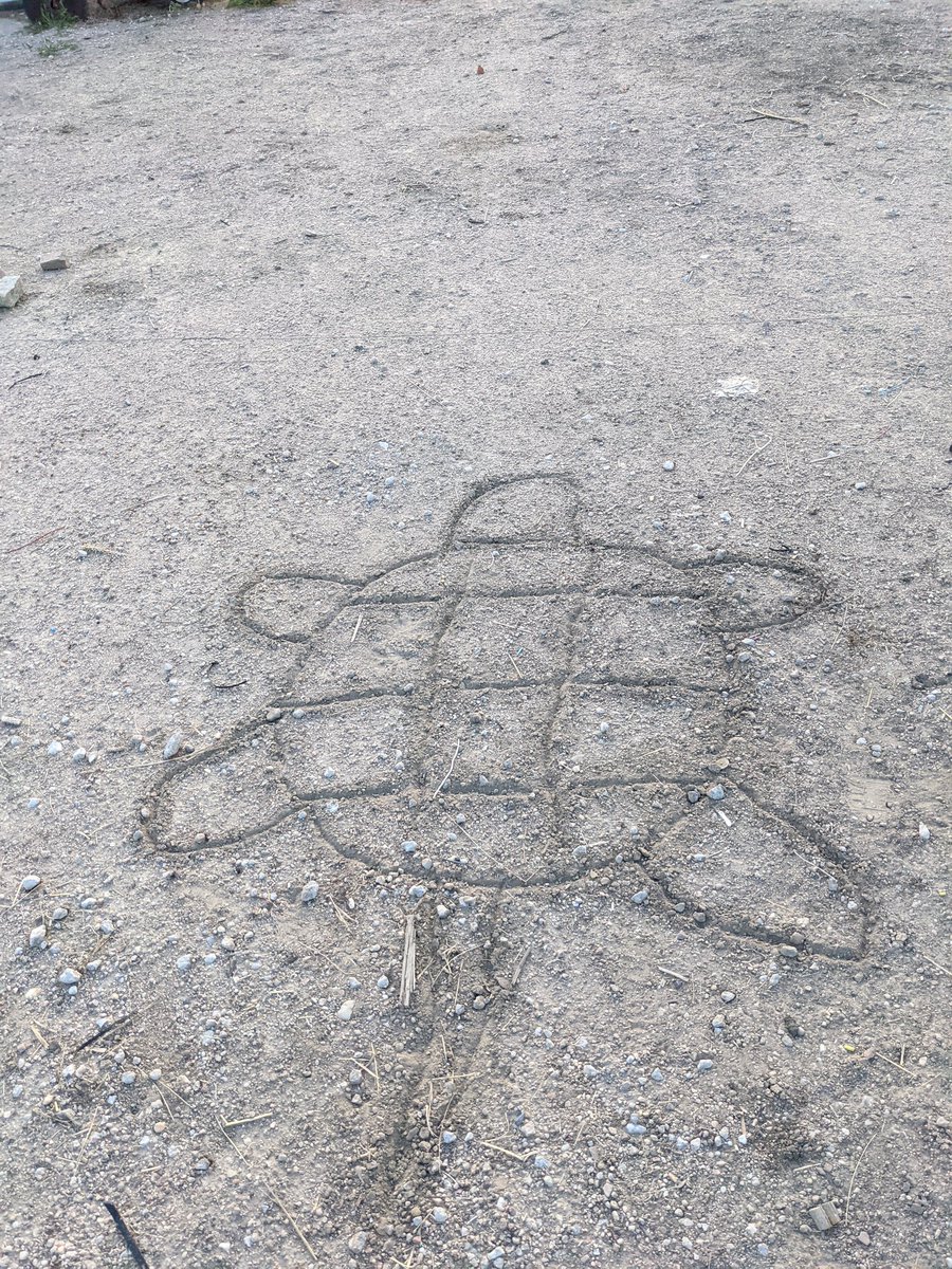 dane_berggren's tweet photo. This #rainturtle thing better work https://t.co/iia40QFmSe