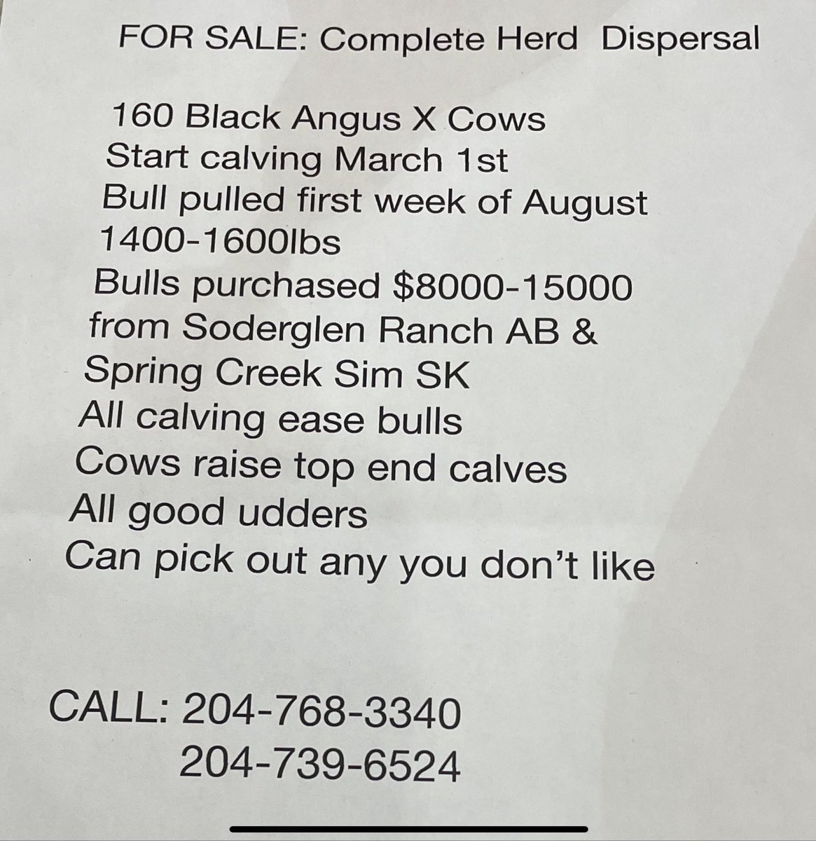Manitoba set of Cows for sale 
Lets get some #haywest #ontag