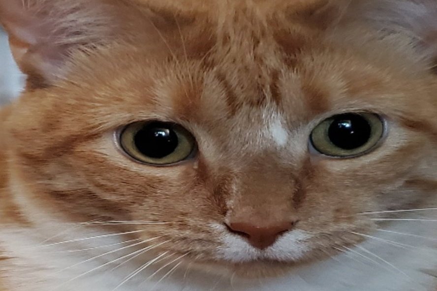 RICK . (@adventurcustype) on Twitter photo 