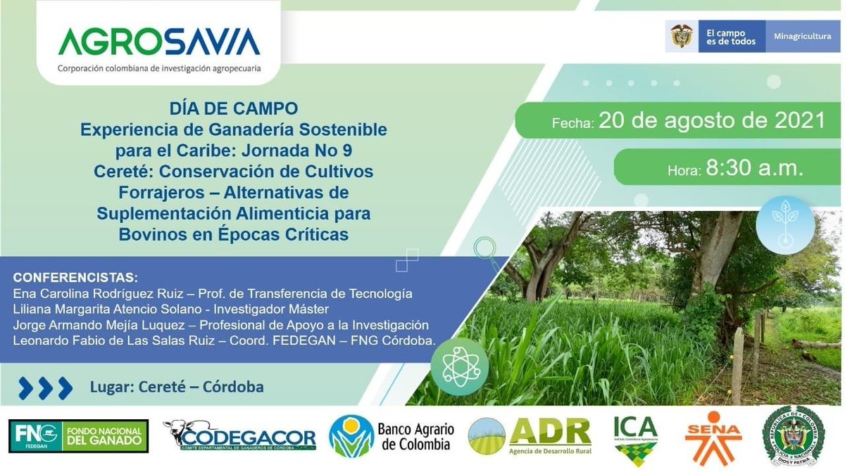 Fedegan's tweet photo. HOY🌞Día de Campo: Experiencia de Ganadería Sostenible para el Caribe - Jornada No 9

⏰8:30 a.m.

Corregimiento: Martínez
Finca: El Guásimo 
Municipio: Cereté – Córdoba 

@SomosAGROSAVIA @codegacor https://t.co/0HPmRawICv