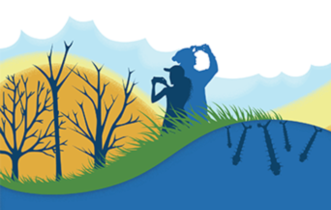 GLOBEProgram's tweet image. Is that a mosquito habitat? #Mosquito habitats can be tricky to spot, but you can read more about them and how researchers will use AI to expedite the process in the #GLOBEObserver article “Is that a mosquito habitat?” bit.ly/3kcr26k