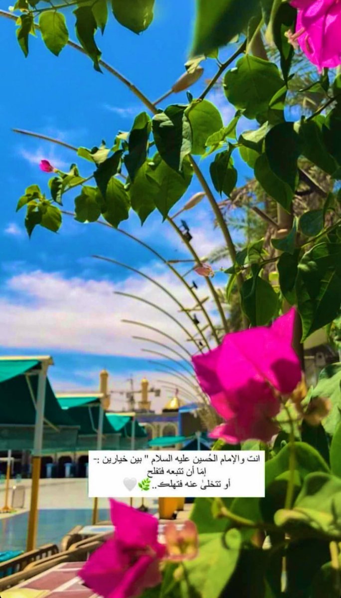 Fatima Bohamad (@fato0ota) on Twitter photo 