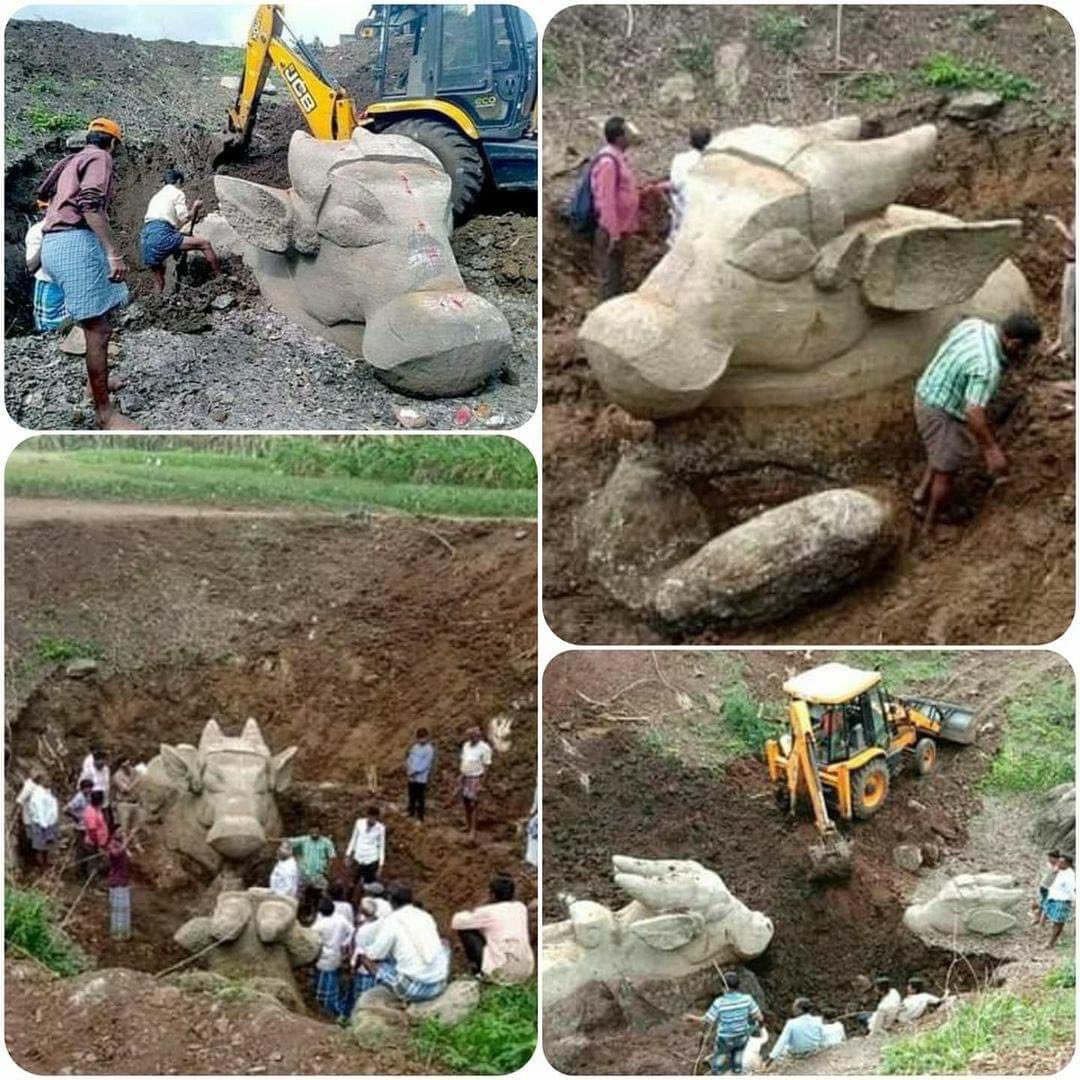 changu311's tweet photo. The more you dig, the more you would find our lost glorious heritage. Nandi murti dug out in Mysore. https://t.co/WR7SPKCYP0