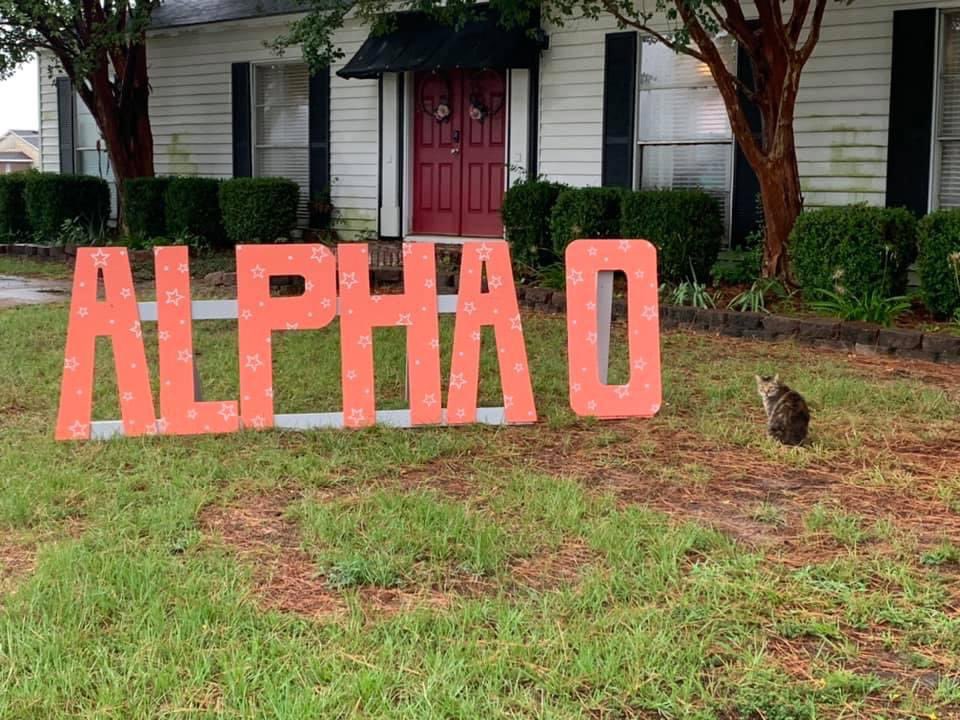 our house cat rosa really loves the new letters 🤩
