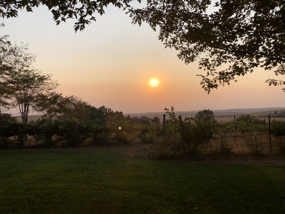 This is how Armstrong’s sunset. #wawine