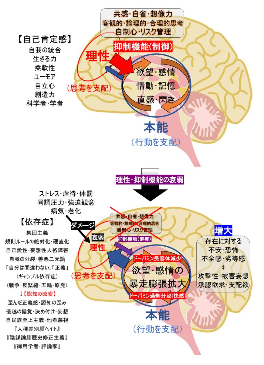 かるっち 人は自分の 感情 情動 行動 を正当化するように 認知を改変 する 心の中の 不安 恐怖 劣等感 が大きいほど 抑制機能が低下し 承認欲求や支配欲が強まり 被害妄想が強まり 攻撃的 排他的になる 正義を振りかざし 他者を罵倒 誹謗