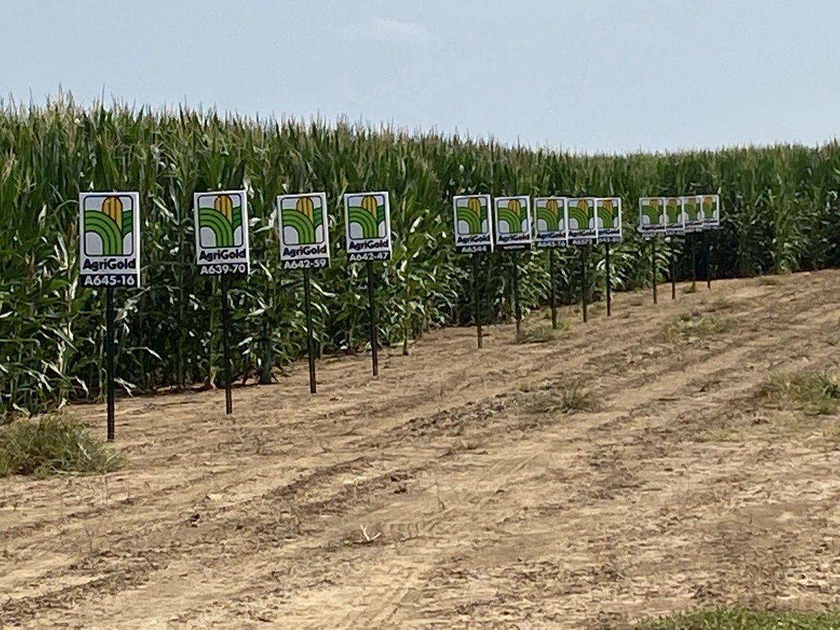 Good corn plot ready for Tuesday ⁦<a href="/FarmsWimp/">Wimp Farms</a>⁩ ⁦<a href="/bivensfarms/">Ryan Dale Bivens</a>⁩ ⁦<a href="/dlangleyfarm/">Drew Langley</a>⁩ look learn smell the pigs