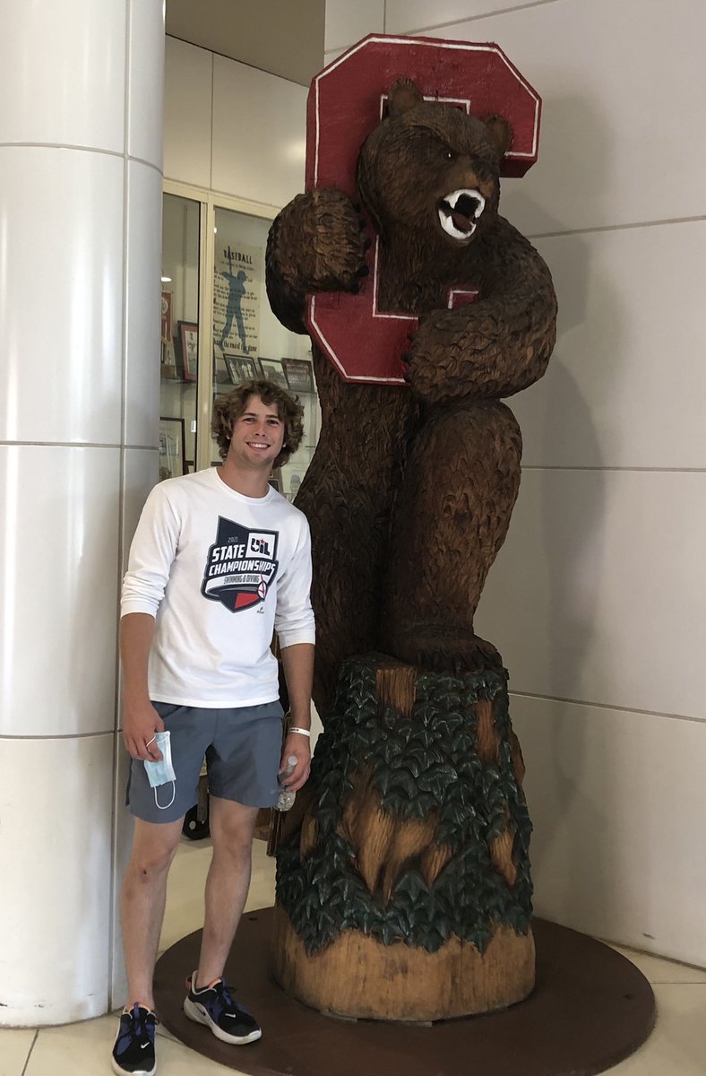 Matthew Walters tweet media