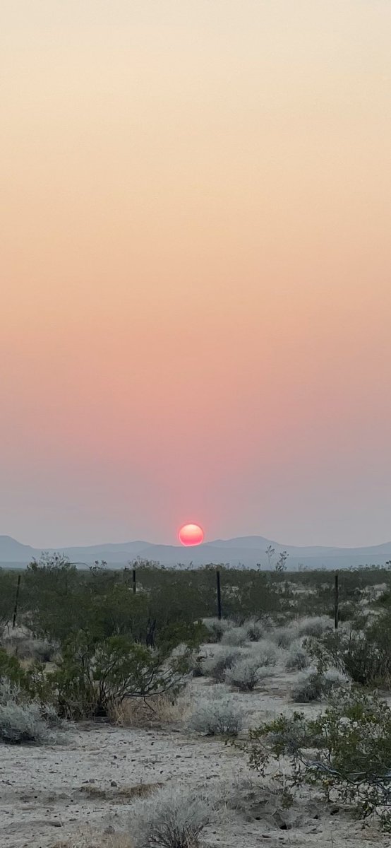 What’s happening on the #cobrateam #ocline