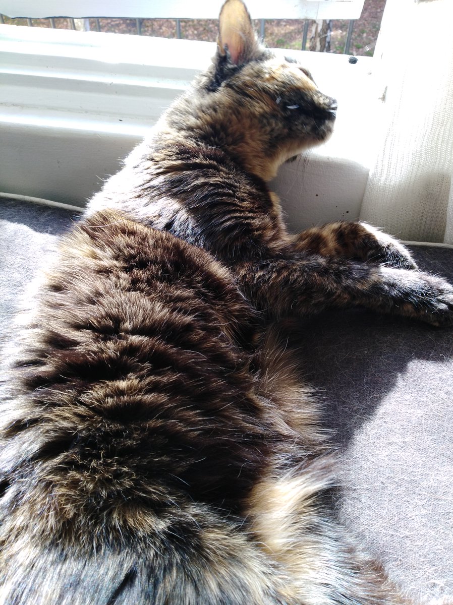 Rob🤘🏻 tweet media