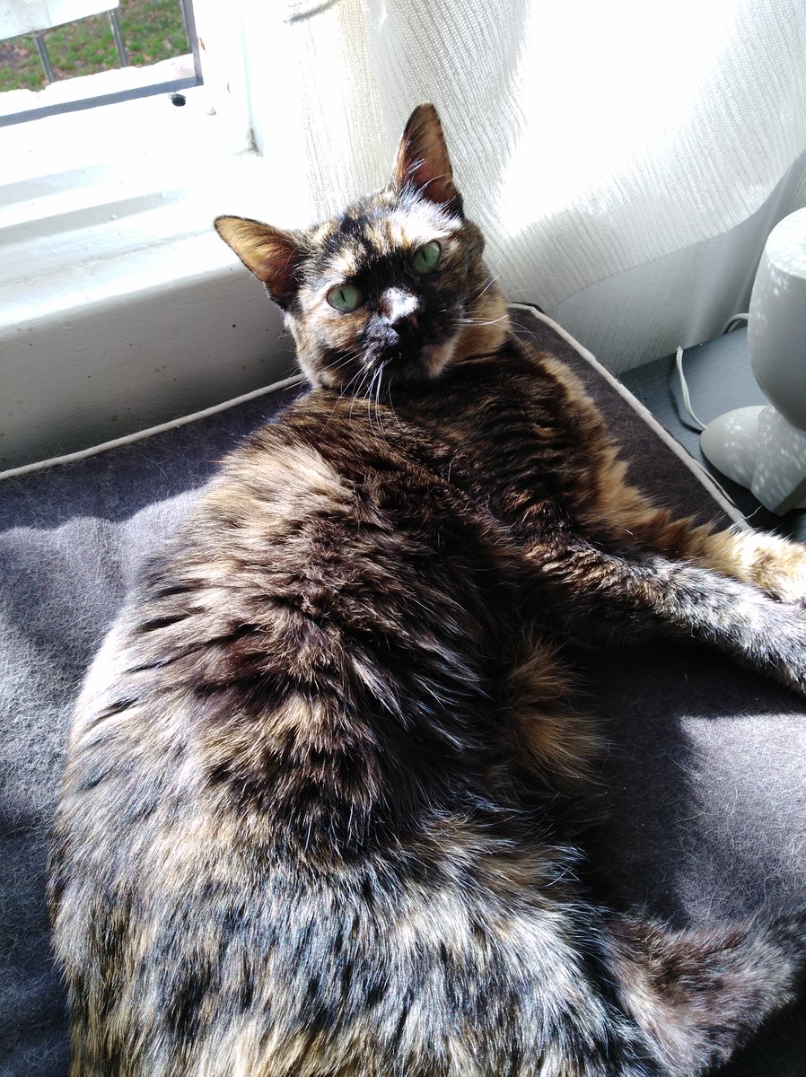 Rob🤘🏻 tweet media