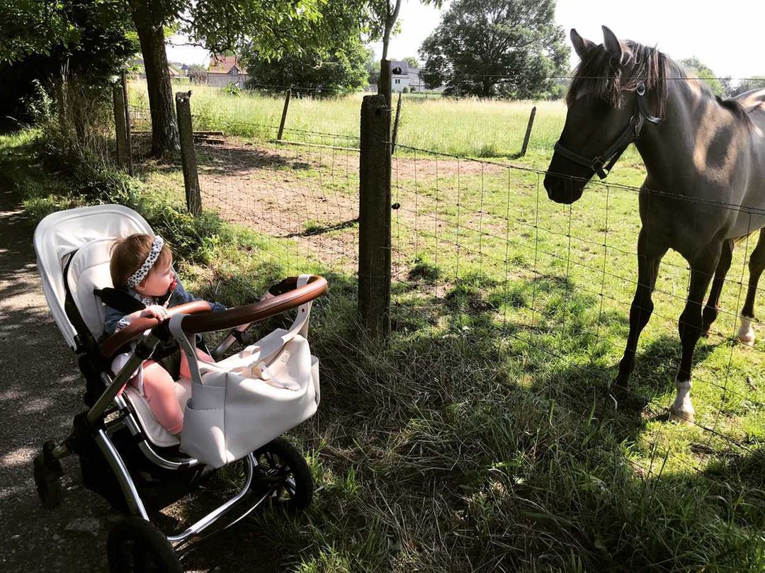 Ickle Bubba Global tweet media