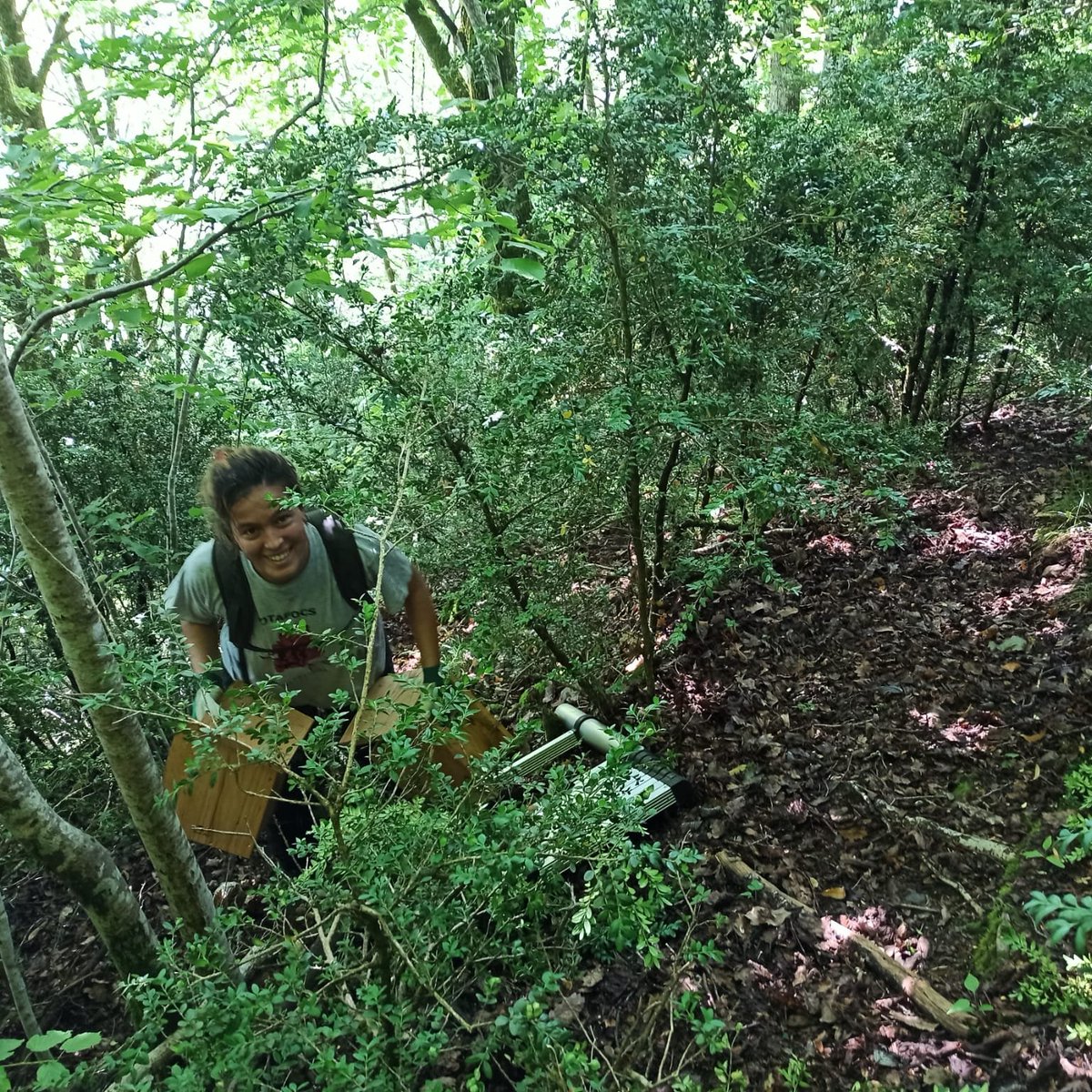 ProjecteLiro's tweet image. La Laura Jou, estudiant en pràctiques del Grau en Biologia de la @Biociencies_UAB,  donarà suport durant els pròxims mesos al treball de camp pel seguiment del liró gris #ProjecteLiró a Catalunya i col·laborarà en l&apos;anàlisi de la dieta del #GatFer del @mcngranollers. Benvinguda!