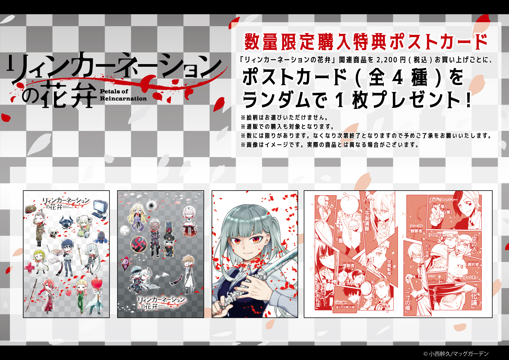 Amazon.co.jp: リィンカーネーションの花弁 特典集 : ホーム