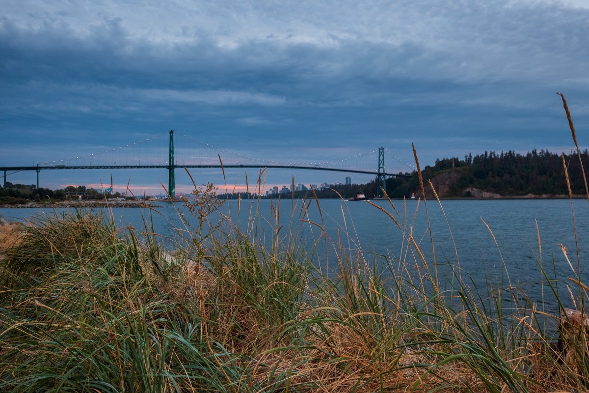 One more offering to celebrate #WorldPhotographyDay. An evening walk along Ambleside Park in West Vancouver a few nights ago. <a href="/FujifilmX_US/">FUJIFILM X/GFX USA</a>