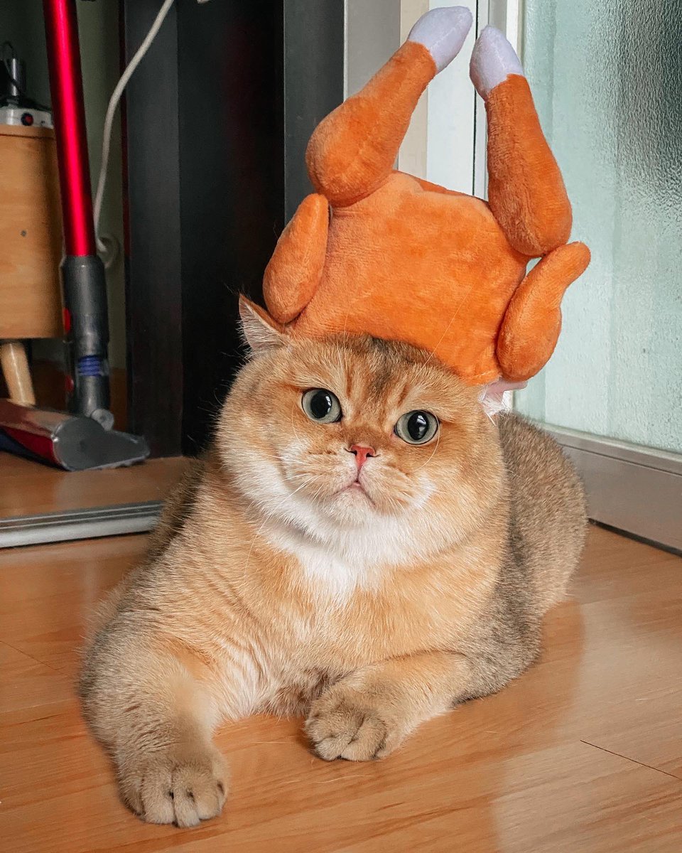 ยัมยัมชิมเค่นนน 🍗