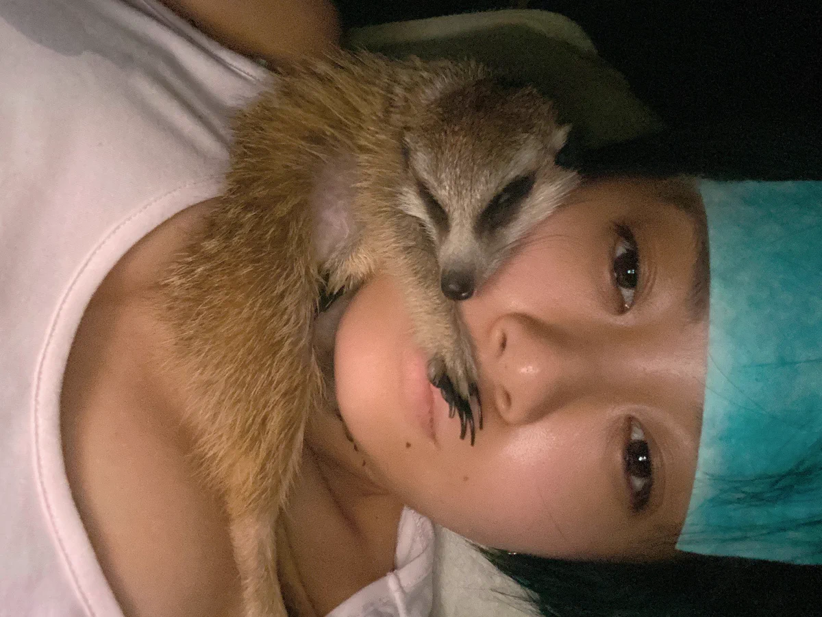 副作用で熱が出て心配したのか必死に看病。ミーアキャット！！