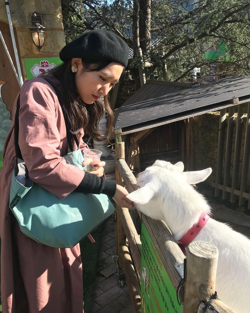 _fuyu_ri's tweet photo. ㅤ

ツイッター全然更新できなくて
ぴえん🥲笑

一昨日会ってきたヤギ🐐

と、寒いと思ったら
服ミスった人😂笑

#暑い

ㅤ https://t.co/o3EkrBeYHL