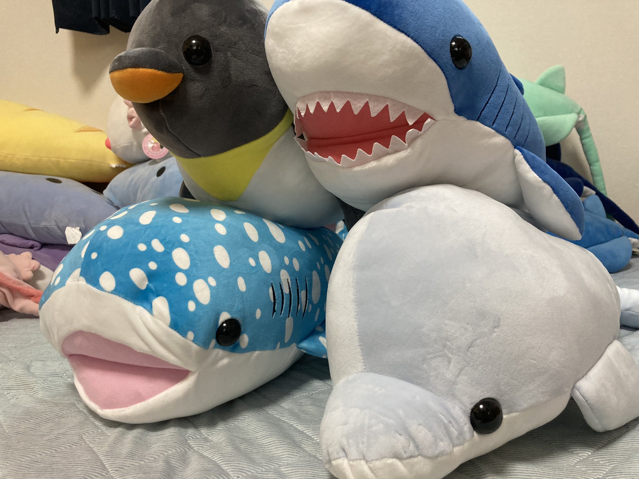 日本オート玩具【公式】 on Twitter: