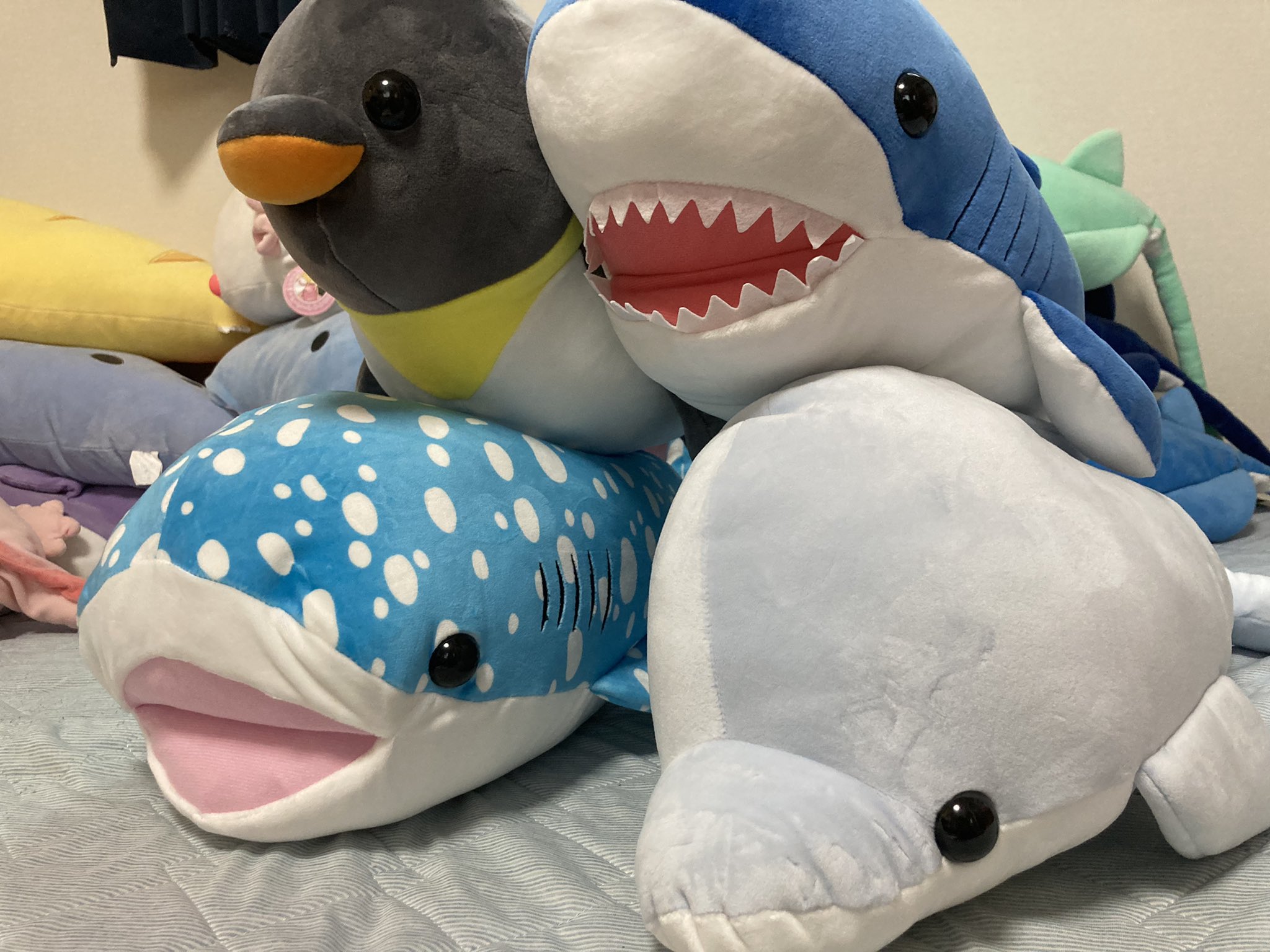 もちぷに水族館しゅーごー　めんだこ　くらげ　BIGぬいぐるみ