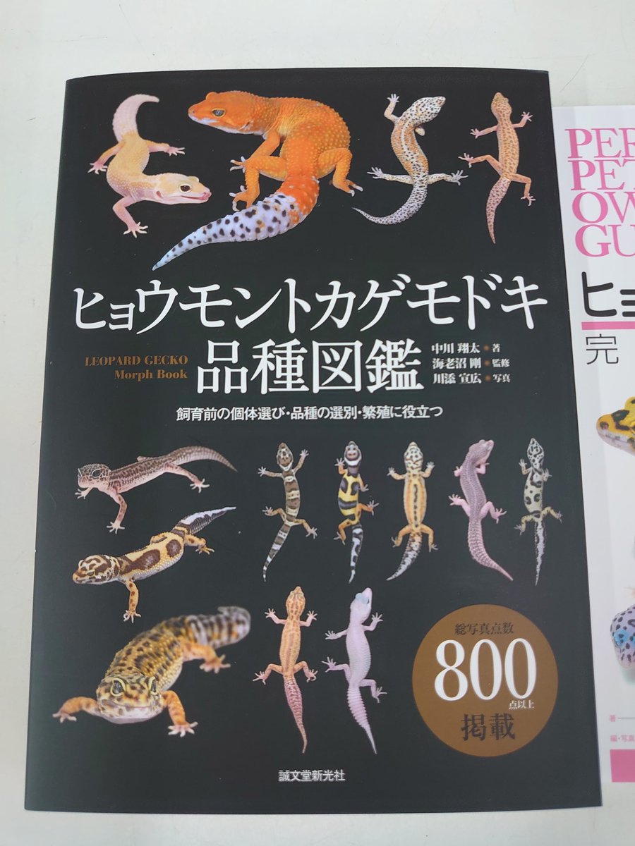 かねだい 海老名店 レオパ図鑑入荷してます かねだい 海老名店 レオパ図鑑入荷してます