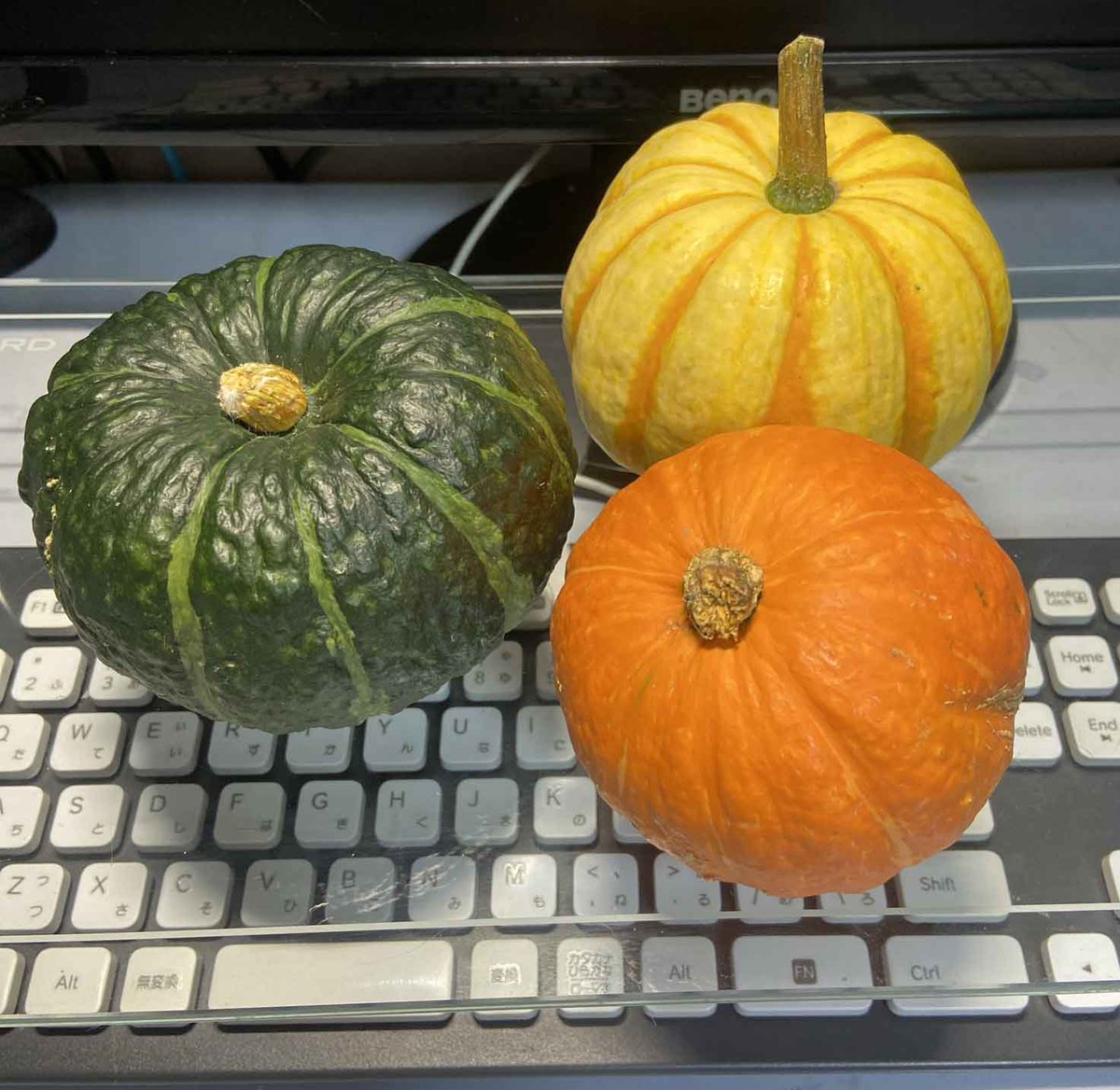 かぼちゃ Twitter Search