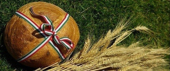 poggany's tweet photo. Boldog ünnepet Magyarország, boldog ünnepet magyarok!🙂 https://t.co/X1ik8M1yTG