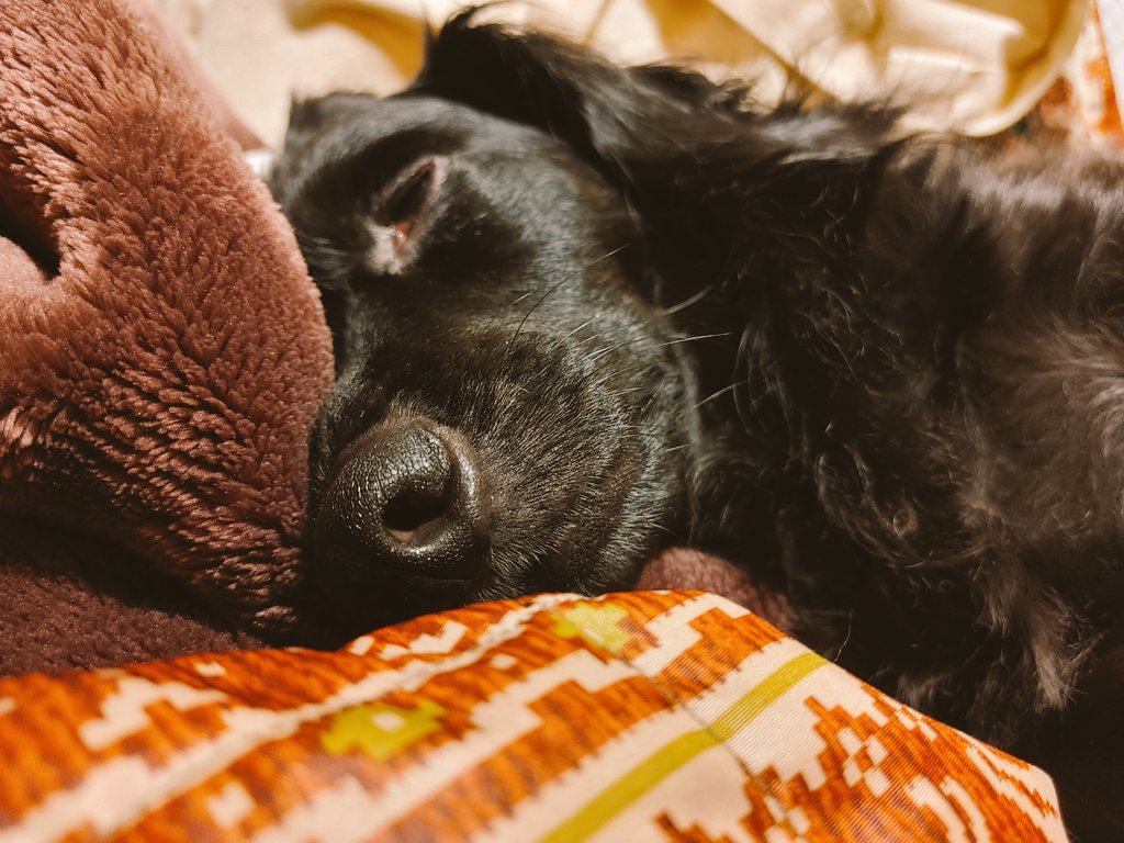 南 央美 こんにちは ｰ 水曜日に受けて2日目です 背中いたたは残っていますが 高いお熱も出ず過ごせております お薬もらっていたのも心強かったです カルピスソーダが美味しい本日もみんなでゆるゆると過ごせますように 母寝る横で