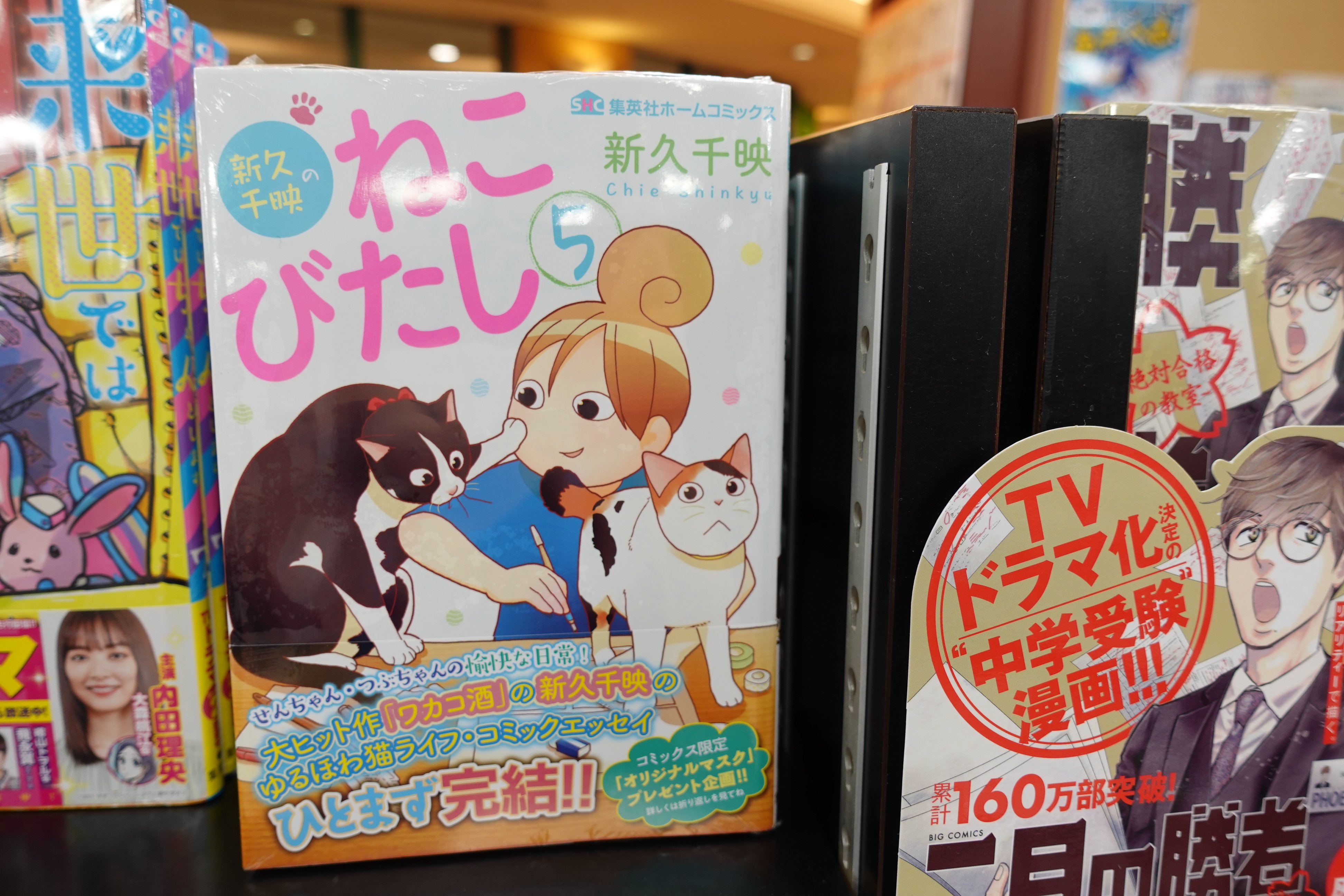 新久千映のねこびたし Twitter Search Twitter