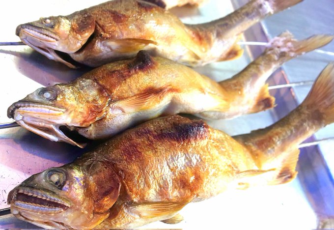 アユのtwitterイラスト検索結果