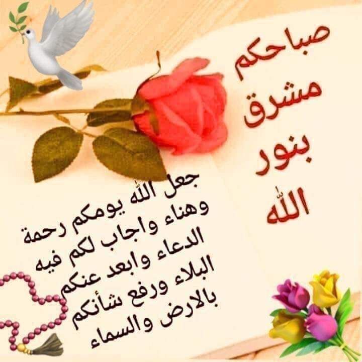 اللهم اجعل يومنا ﻳﺸﺮﻕ ﺗﻔﺎﺅﻻ‌ً
ﻭﻳﻌﺰﻑ ﺃﻣﻼ‌ً ﻭﻳﻜﺘﺐ ﺣﺮﻭﻓﺎ ﺟﺪﻳدة
ﻟﻠﺴﻌﺎﺩﺓ. ♥️
اللهم ارزقنا قلوب تتجلى بـخشيتك
ونعماً تدوم بفضلك وأرواحا تهوى
طاعتك وألسنة لاتمل من ذكرك ♥️
صباحكم خير و سعادة ورضا من الله ♥️