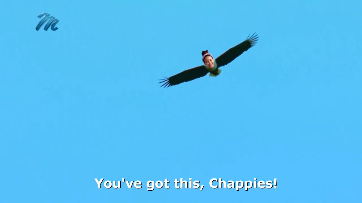 RobsFactChecker's tweet photo. #SurvivorSA Anesu has such a presence in the game and in and the world that she can send motivational messages to Chappies via an eagle. #OperationDestiny https://t.co/vI7r1CB3yT