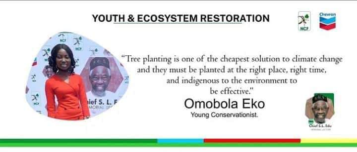 For tree planting to be effective as a #climatesolution the trees must be planted in the right place and at the right time.

#ForestRestoration #GenerationRestoration #RestoreOurEarth #LeadOnClimate #ClimateAction #climateactionnow #decadeofaction #youthandecosystemrestoration