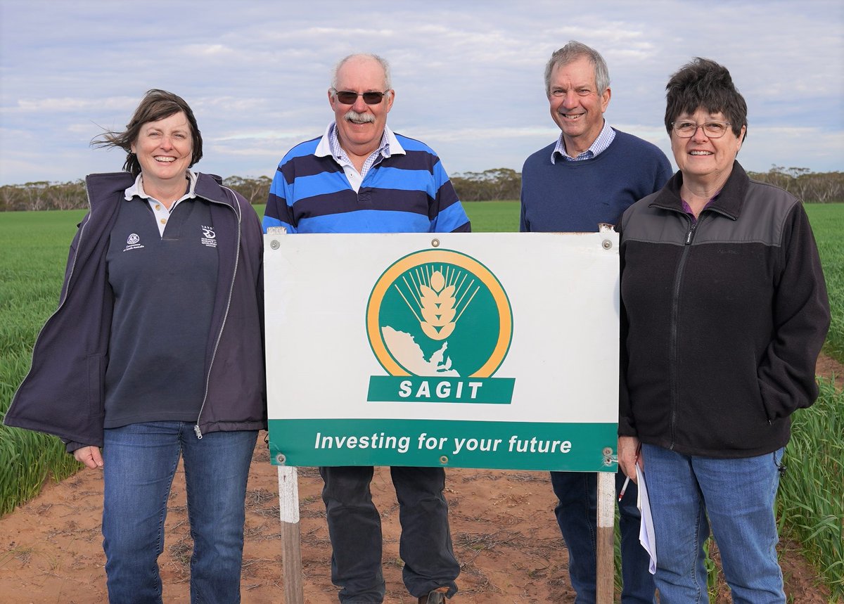SAGrainTrust's tweet image. SAGIT's annual site visits for 2021 have kicked off, with Eyre Peninsula first port of call. Trustee Andy Barr, Project Manager Malcolm Buckby and Scientific Officer Jenny Davidson visited sites at Minnipa &amp;amp; Cummins. @SA_PIRSA | @Ware_AH | @ag_eyre