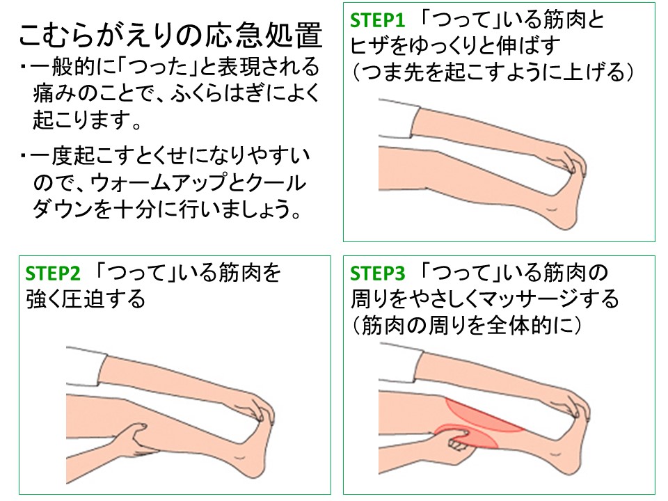 バトルウィン サポートクラブ 知っておきたい応急処置 足がつったとき 運動時や就寝中などに突然ふくらはぎがつる経験はありませんか こむら返り 足をゆっくり伸ばしてから筋肉を圧迫し やさしくマッサージしてください ふくらはぎのつりを防止