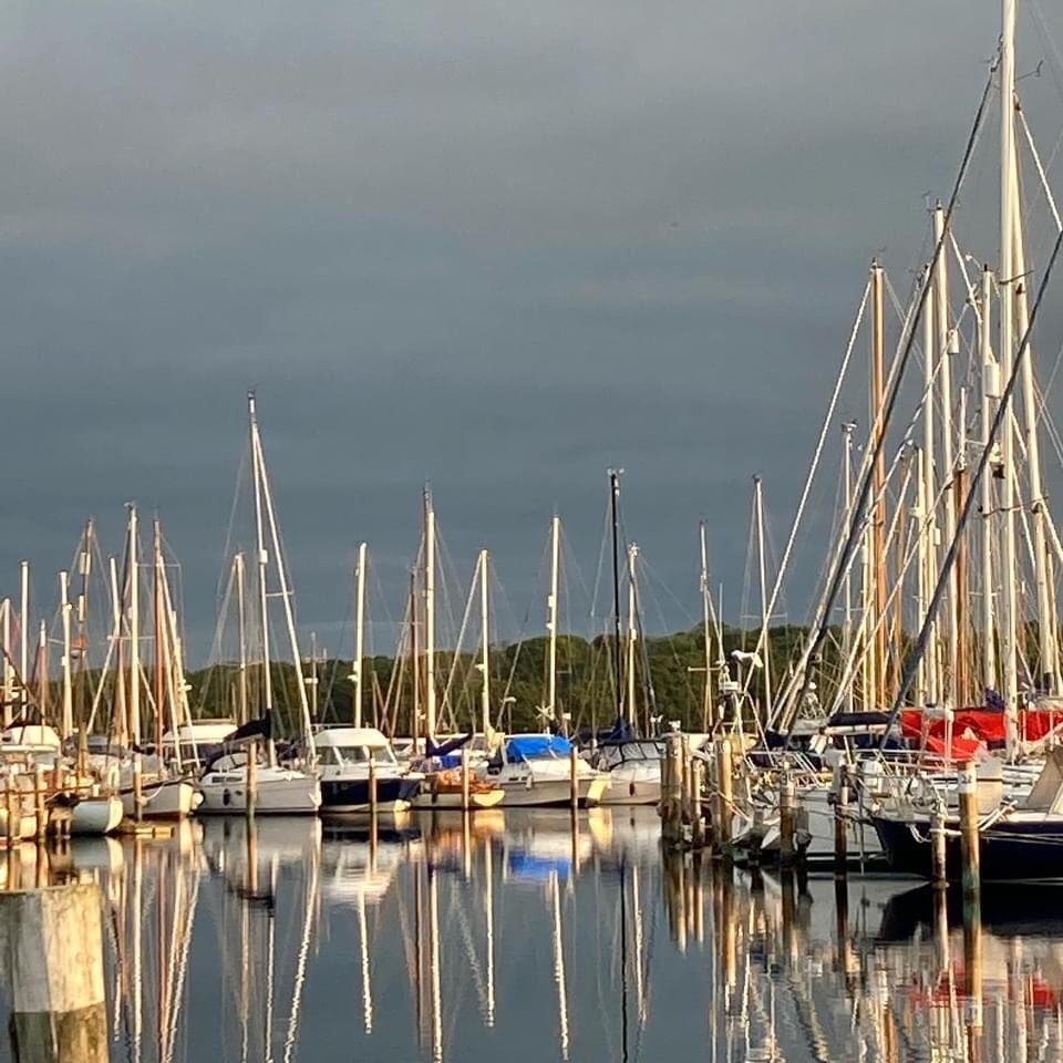 IJPerkins's tweet photo. Early morning walks do have their benefits. https://t.co/PaA7k8EAz1